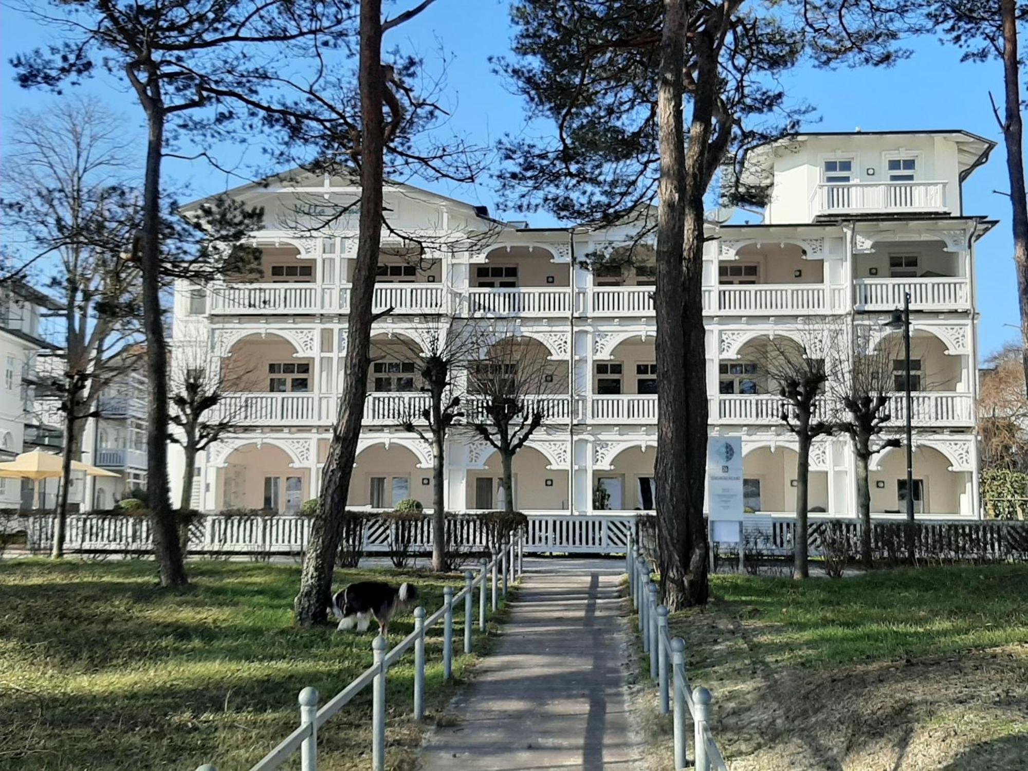 Ferienwohnung Ostseeblick In Der Villa Seeadler 빈츠 외부 사진